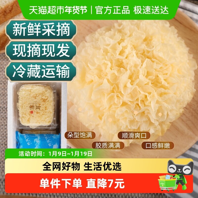 怡江黄金耳新鲜银耳130克*6盒高山活鲜白木耳糯耳雪耳
