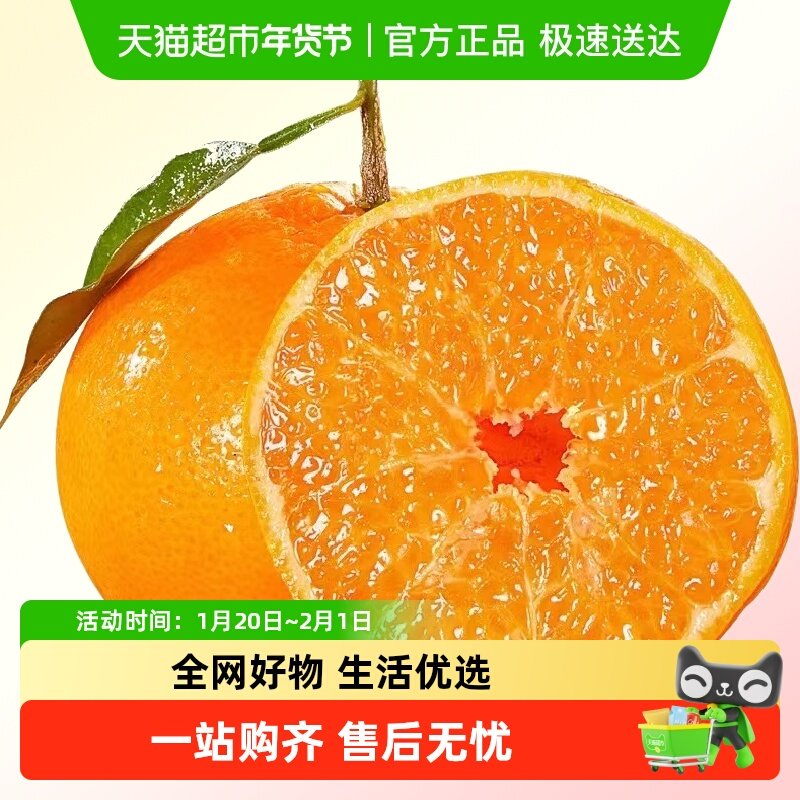 正宗四川春见耙耙柑当季新鲜橘子水果柑桔现摘现发柑子桔子整箱,水产肉类/新鲜蔬果/熟食,桔子,淘宝优惠券,粉丝福利购,淘宝优惠卷