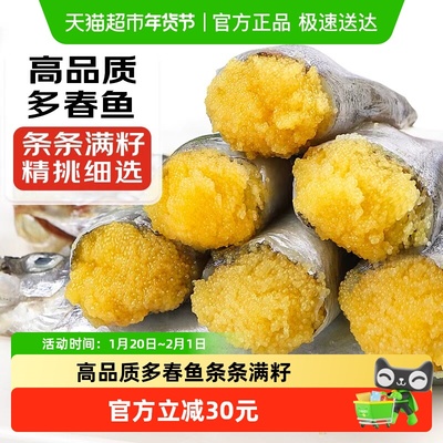 新鲜多春鱼特大多籽鱼