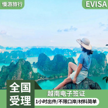 越南·EVISA·移民局网站·越南签证个人旅游电子签证90天单次多次旅游签证落地批文过境签另纸签加急办理