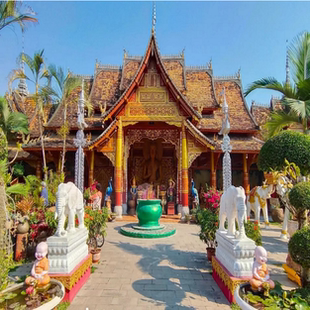 [傣族园-大门票+电瓶车]大门票+电瓶车【仅支持身份证】