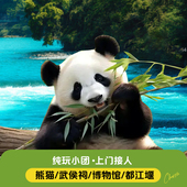 纯玩2 8人内团成都市内大熊猫基地都江堰青城山一日游四川周边游