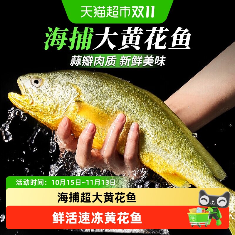 顺丰上门云储生活特大黄花鱼深海冷冻黄瓜鱼宁德海鱼新鲜冷冻黄鱼