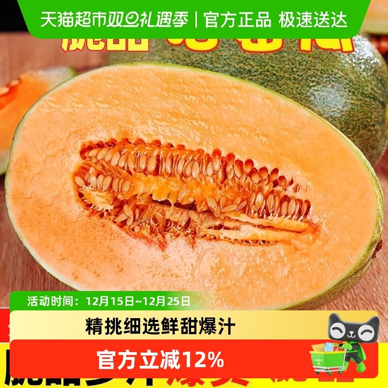 正宗甜脆哈密瓜水果整箱现摘网纹瓜老汉瓜当季新鲜孕妇水果