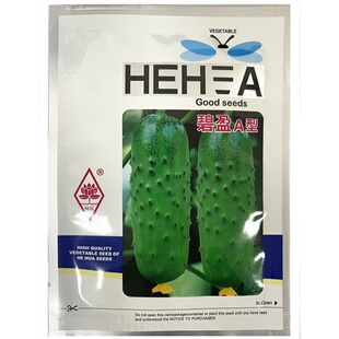 荷花坑唐山秋瓜碧盈A型 唐山秋瓜 水果黄瓜种子 高产短棒黄瓜种子