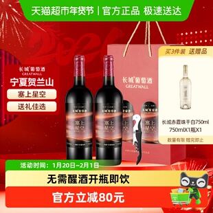 长城塞上星空典藏干红葡萄酒750ml*2瓶双支礼盒年货送礼宁夏产区