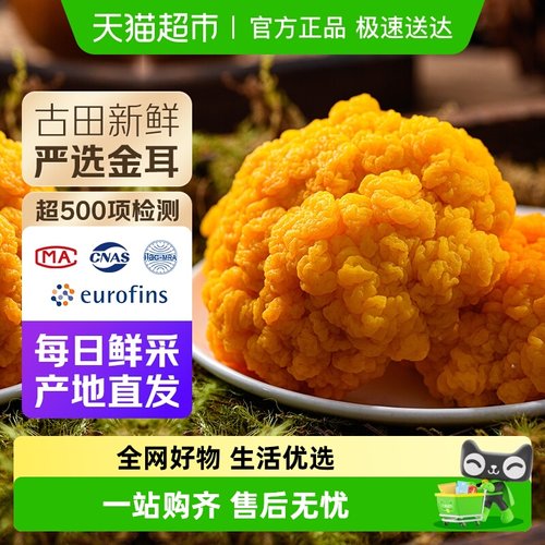 云南特产新鲜脑耳金耳菌菇非干货