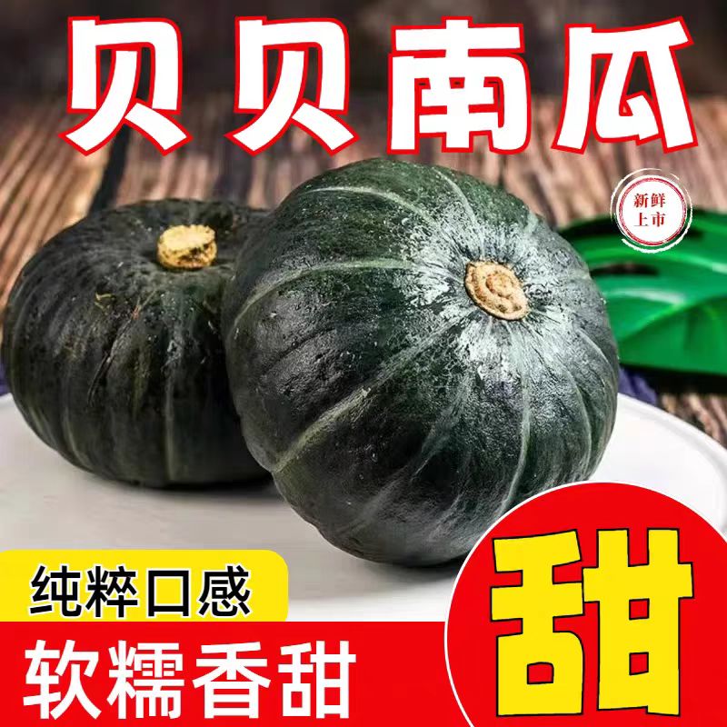 正宗新鲜贝贝小南瓜板栗味宝宝辅食孕妇可食用整箱装甜糯