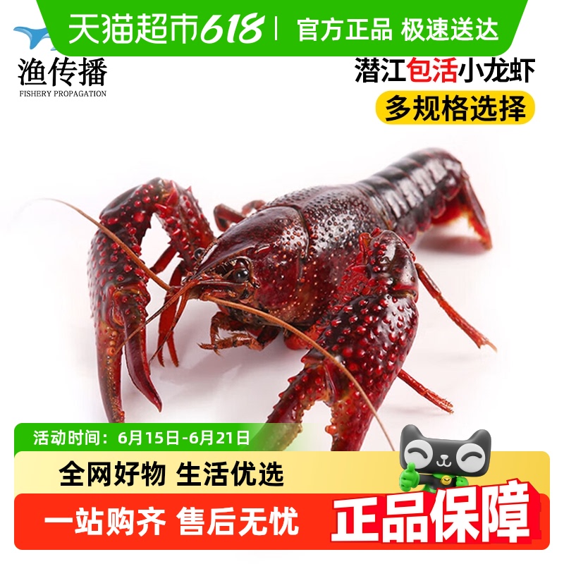 渔传播加送10%潜江小龙虾送调料