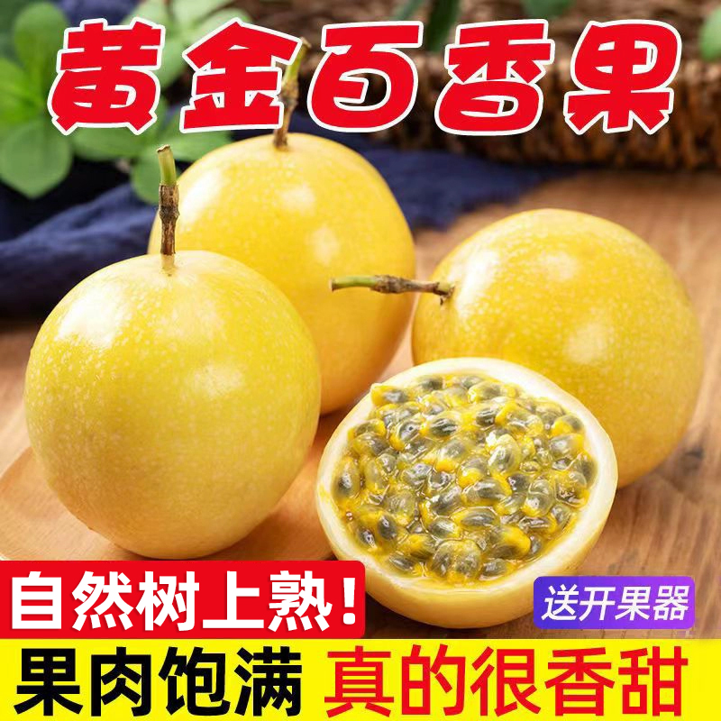 广西钦蜜9号黄金百香果应季水果纯甜大果新鲜现摘黄金果