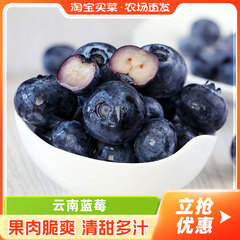 云南蓝莓新鲜蓝莓浆果非黑莓大中果高原新鲜当季水果时令清甜