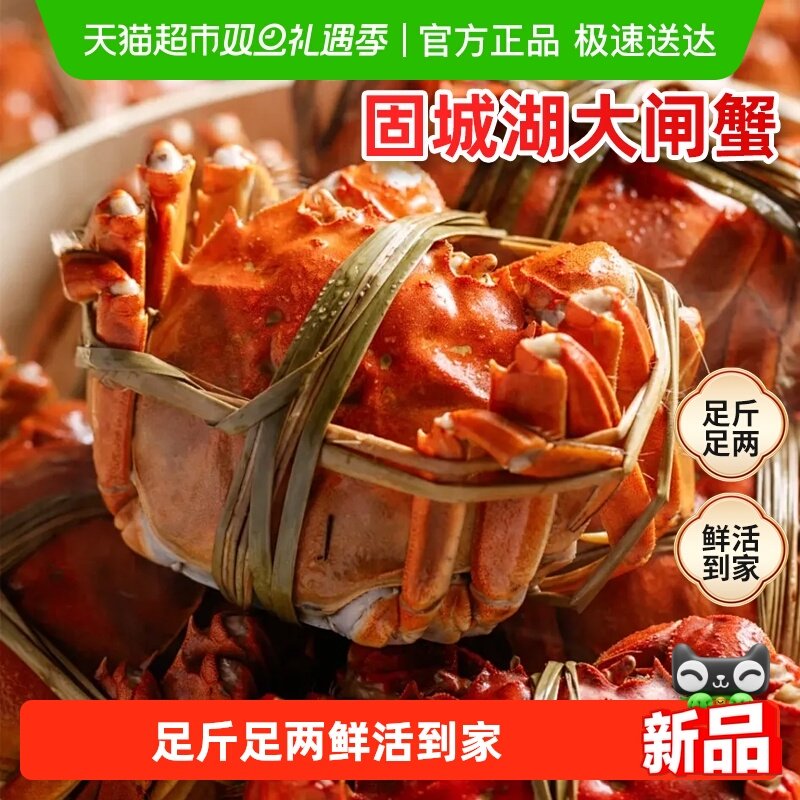 渔传播固城湖大闸蟹公蟹母蟹