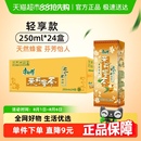 24盒整箱0脂聚餐宅家囤货调味茶饮品 康师傅茉莉蜜茶饮料250ml