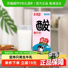 菊乐酸乐奶儿童饮料生牛乳制造礼盒装整箱早餐奶风味牛奶酸奶