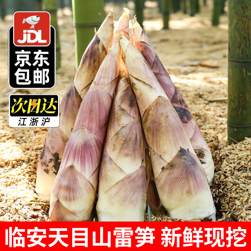 1000g ����50-150g �ٰ��������������㽭��ĿɽҰ�����Ǵ����������ʱ���߲�