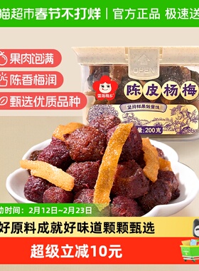 雪海梅乡古韵陈皮话梅无核果肉饱满梅条酸甜当地鲜采杨梅软糯零食