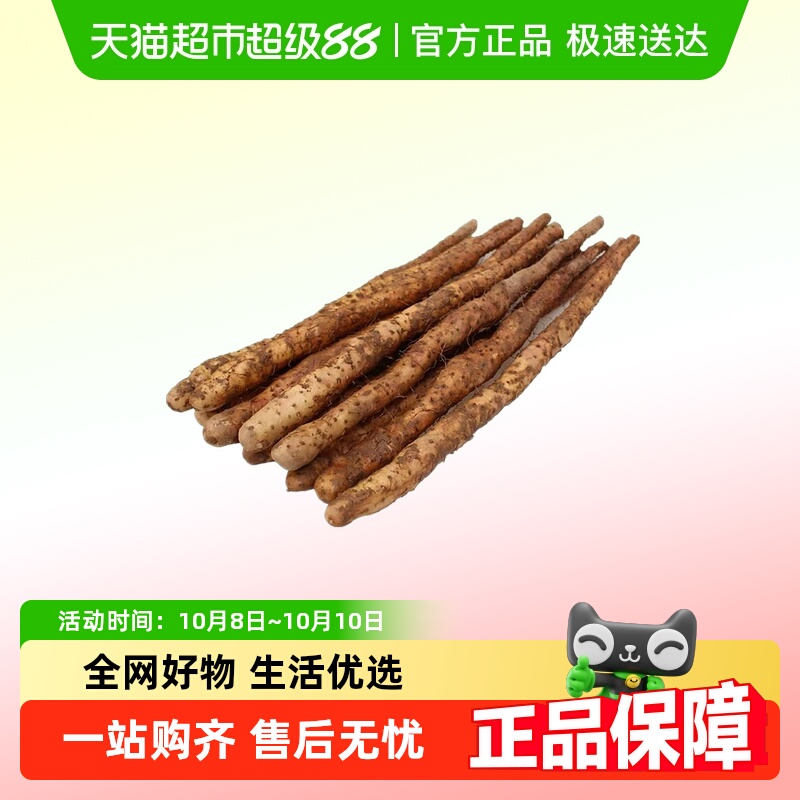 河南省焦作温县新鲜垆土铁棍山药怀山药正宗淮山铁杆山药