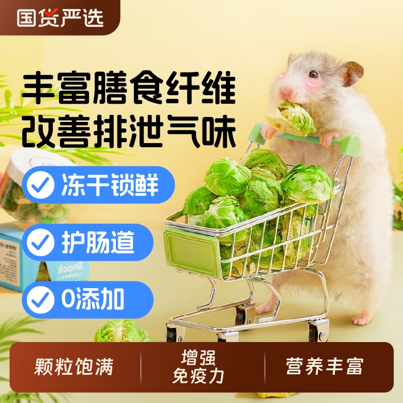 仓鼠零食蜜袋鼯冻干抱子孢子甘蓝金丝熊磨牙棒专用营养仓鼠粮食
