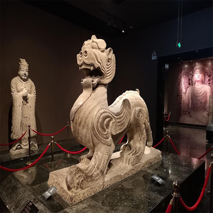 洛阳旅游洛阳博物馆一日游讲解人工大咖讲解含耳麦