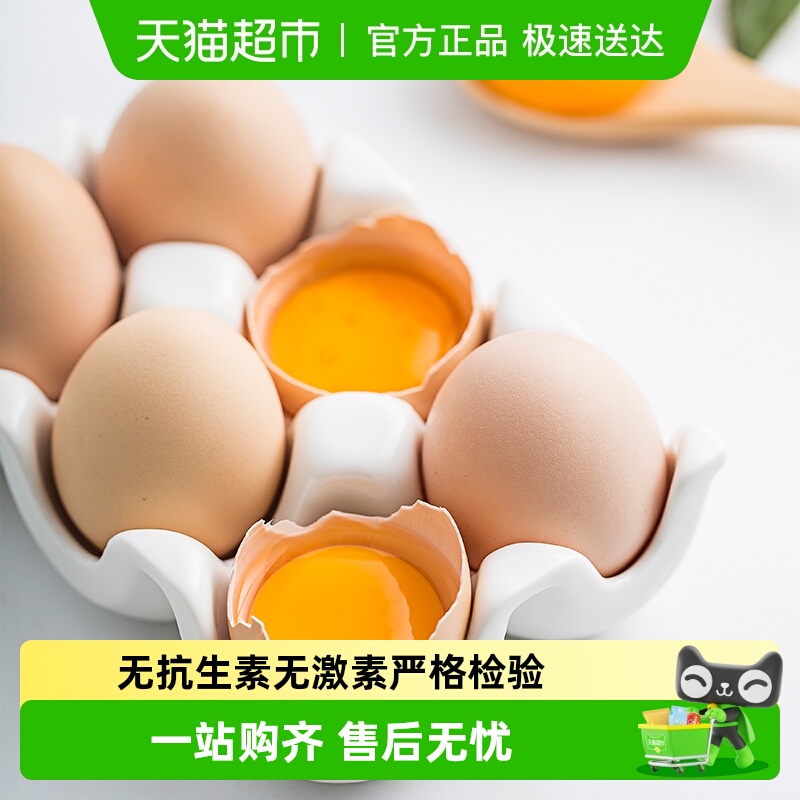 田园居AA级大蛋黄鸡蛋