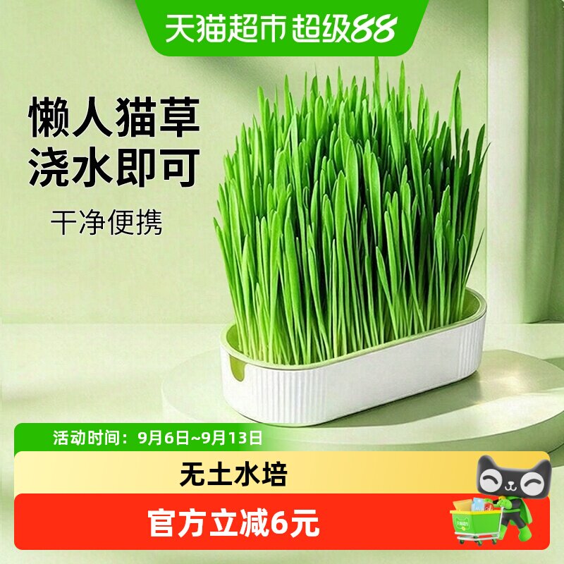 猫草盆栽种植无土水培盒懒人猫草种植子育苗盘猫咪促进助消化排毛