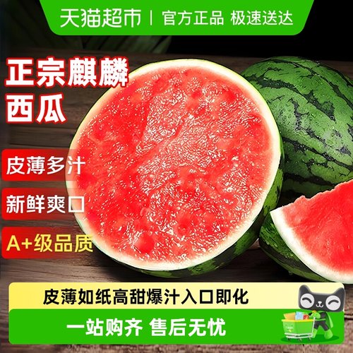 京运达云南麒麟西瓜整个发货