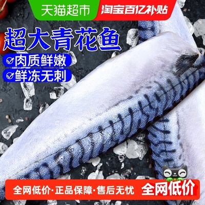 挪威青花鱼片去头去刺