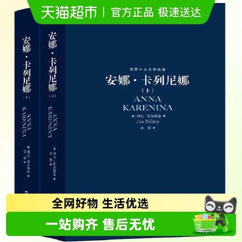 安娜卡列尼上下全套世界十大