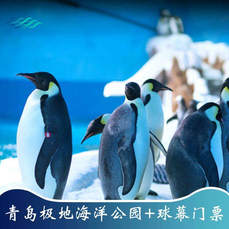 青岛极地海洋馆门票