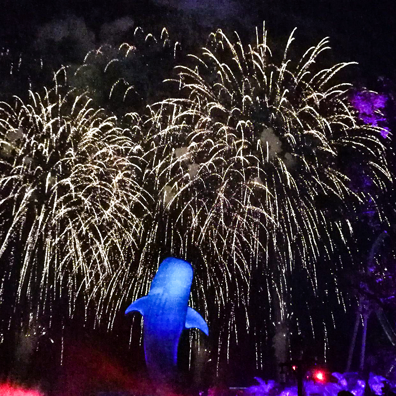 [珠海长隆海洋王国-跨年夜场票]珠海长隆海洋王国夜场门票