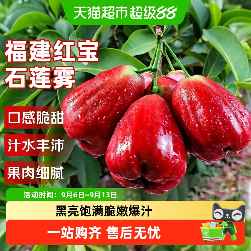 寻天果蔬海南黑金刚莲雾当季爆甜