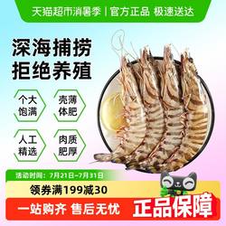 遇上鲜舟山竹节虾九节虾新鲜速冻大海虾斑节虾非鲜活黑虎虾基围虾