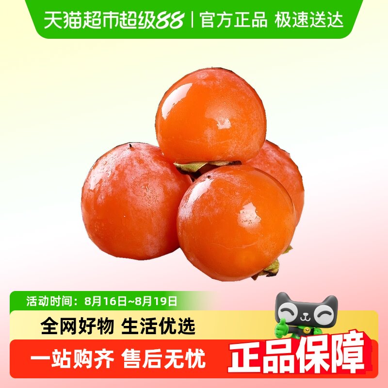 ����������ˮ�����������������С������������