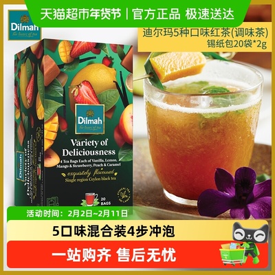 迪尔玛5种口味袋泡茶