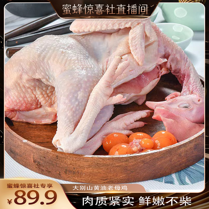 天方大别山500天散养黄油老母鸡带蛋花走地鸡整鸡煲汤