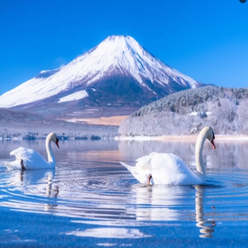 富士山双湖网红打卡
