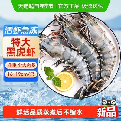 黑虎虾超大速冻老虎虾