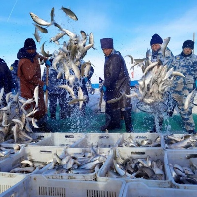 春节大巴4日内蒙克旗黄岗梁达达线美林-达里湖冬捕越野车穿越纯玩
