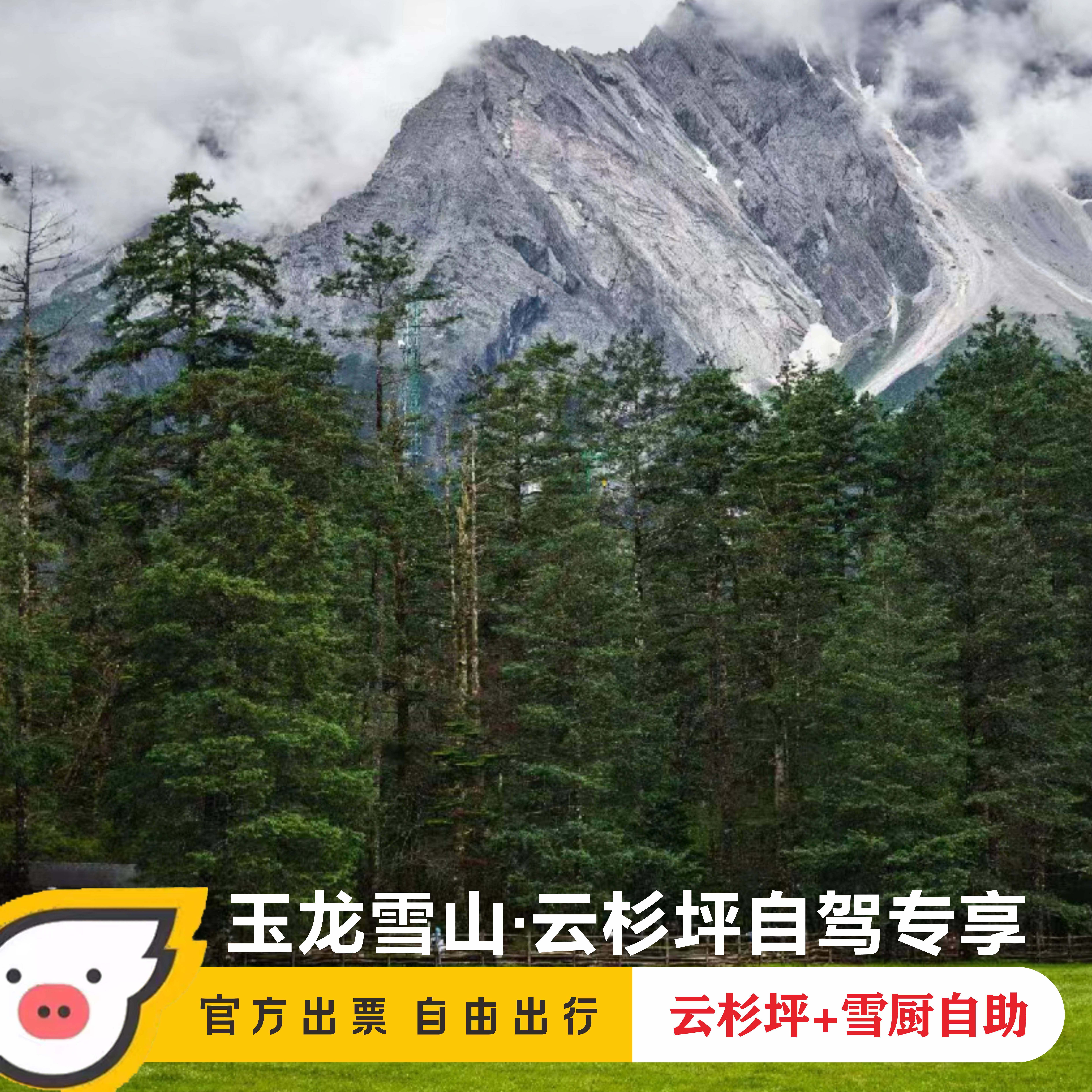 [玉龙雪山-大门票+云杉坪索道+古城往返拼车接送+往返环保车拼车+雪厨自助餐]玉龙雪山云杉坪