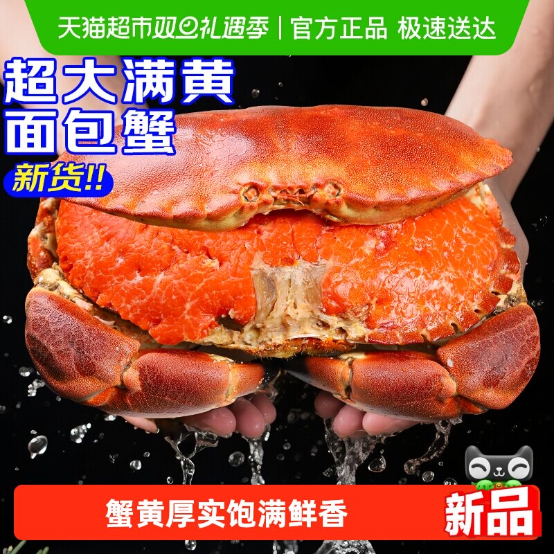 面包蟹特大母帝王蟹熟冻大螃蟹海蟹新鲜海鲜水产黄金蟹珍宝蟹