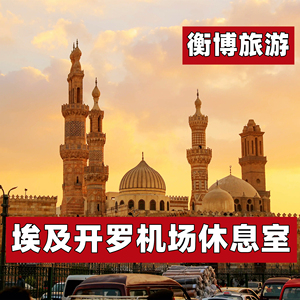 CAI 埃及 开罗机场休息室 VIP转机贵宾厅