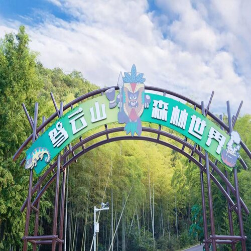 [湖州市驾云山森林世界-大门票+景交车+11项游乐项目]大门票+景交车+11项游乐项目套票