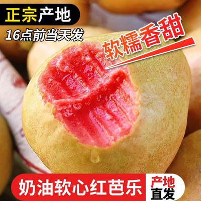 红心芭乐新鲜水果包邮时令巴乐果高甜水果应季番石榴多规格