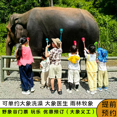 西双版纳野象谷玩乐套餐  可选野象谷门票/大象洗澡/大象医生（体检）/雨林牧象