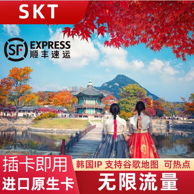 韩国电话卡5G上网卡