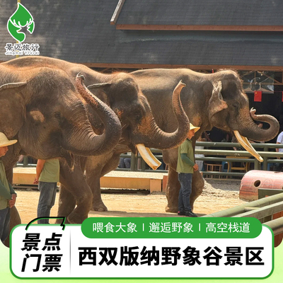 野象谷景区门票+告庄西双景往返野象谷景区直通车票