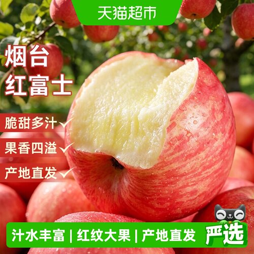 于甄鲜山东烟台红富士苹果