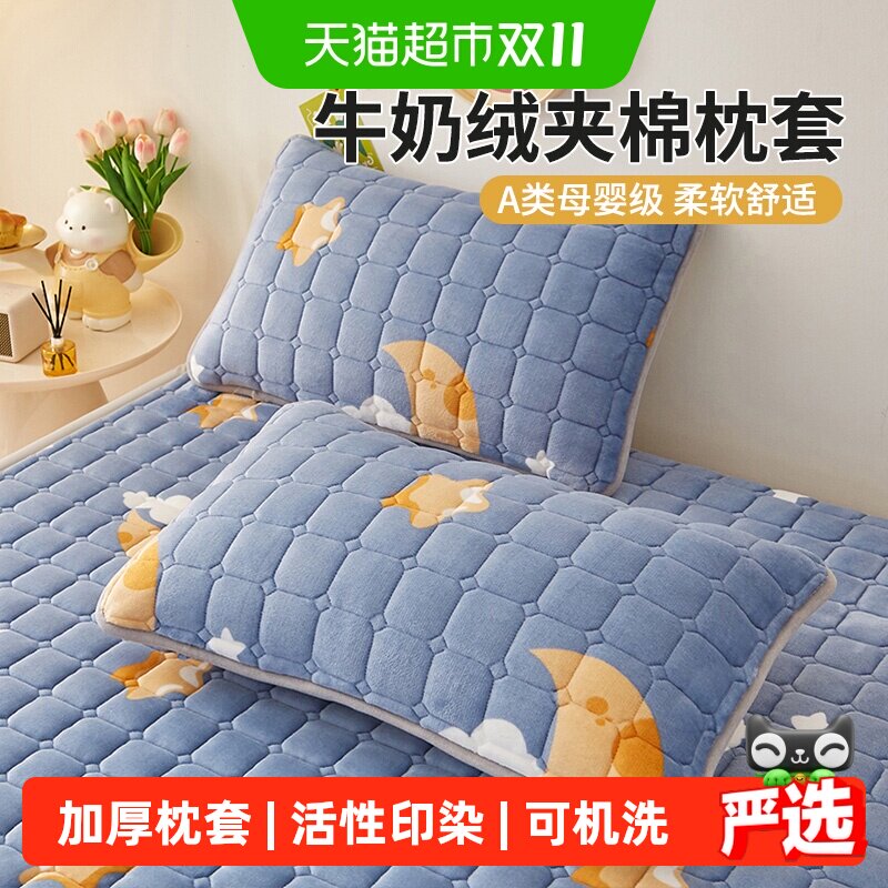 加厚牛奶绒枕套一对装秋冬季家用珊瑚绒枕头套成人枕芯内胆罩单个