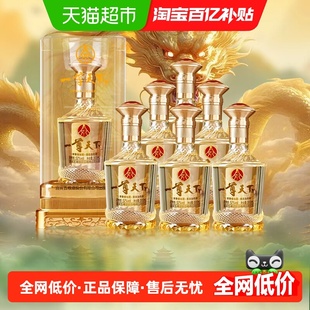一尊天下五粮液集团出品 盛世佳品 52度浓香型白酒  整箱含礼袋