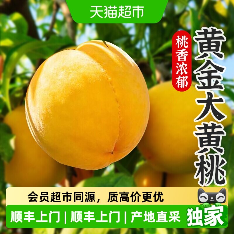 //img.alicdn.com/bao/uploaded/i4/6000000002957/O1CN01SC7dUexsS3H1chua_!!6000000002957-0-sm.jpg
